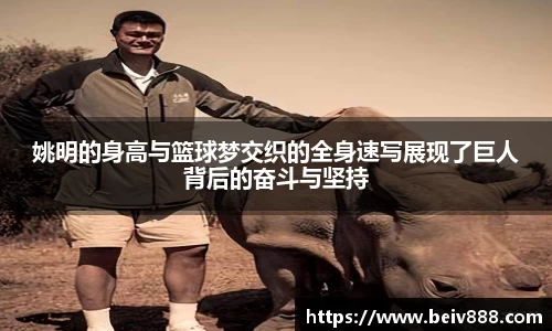 姚明的身高与篮球梦交织的全身速写展现了巨人背后的奋斗与坚持